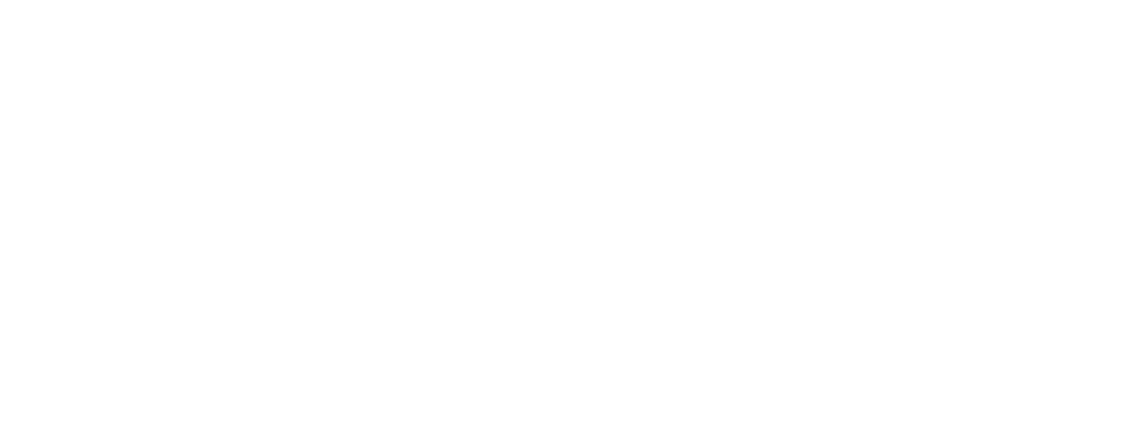 Audit